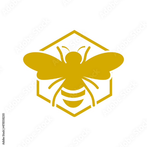 Working bee on honeycomb icon isolated on white background