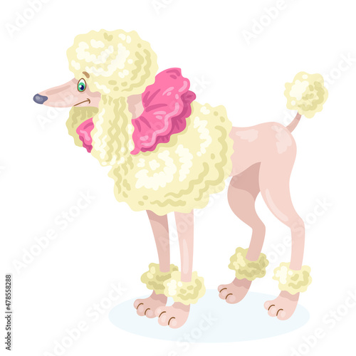 Funny circus dog. White poodle breed. In cartoon style. Isolated on white background. Vector flat illustration.