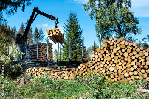 LKW beim Beladen von Baumstämmen im Harz