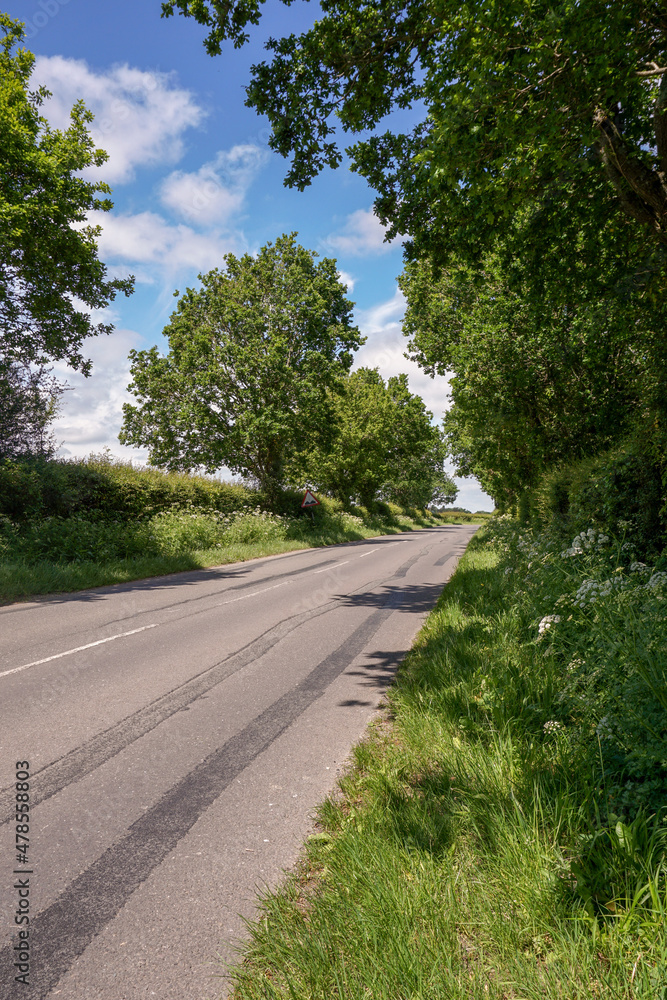 Empty country road. Quiet rural road lined with greenery and trees. A peaceful drive in the countryside. 