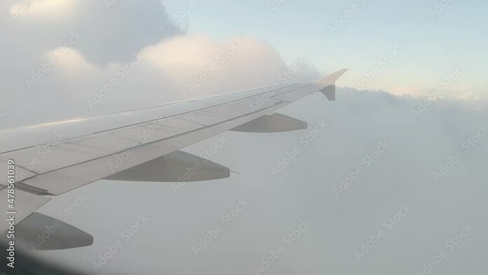 Flug Flug