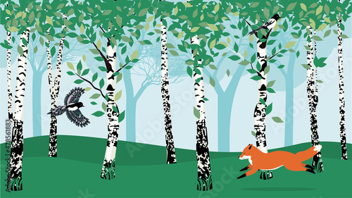 Summer birch trees and animals