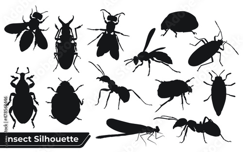 Flat insect silhouettes collection