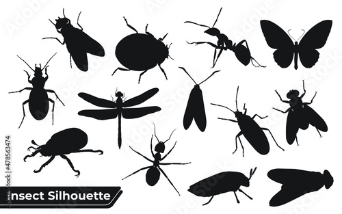 Flat insect silhouettes collection © Adopik