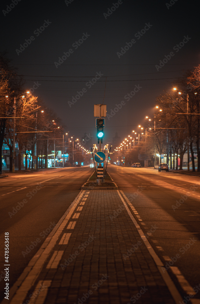 Fototapeta premium zaporozhye by night