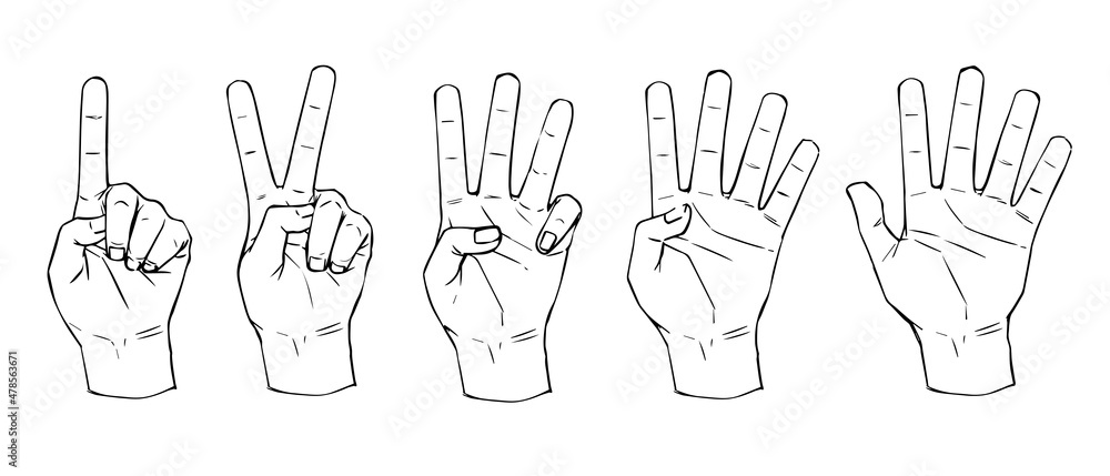 リアルな手のイラスト 1 5線画 Stock Vector Adobe Stock