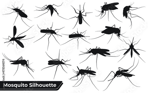 Collection of Animal Mosquito Silhouettes vector