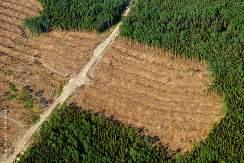 Logging Near Matagami Quebec Canada photo