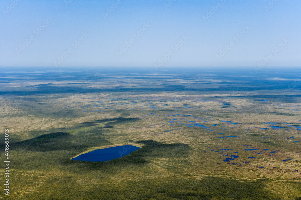 Fototapeta premium Boreal Forests Near Matagami Quebec Canada