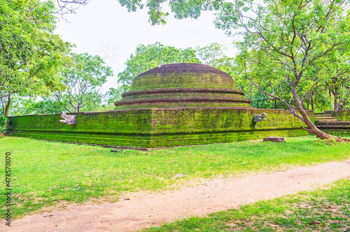 The brick stupa in Alahana Pirivena, Polonnaruwa, Sri Lanka photo