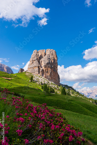 Panorama of a colored mountain landscape in South Tyrol, Italy with the green summer mountains. High quality photo