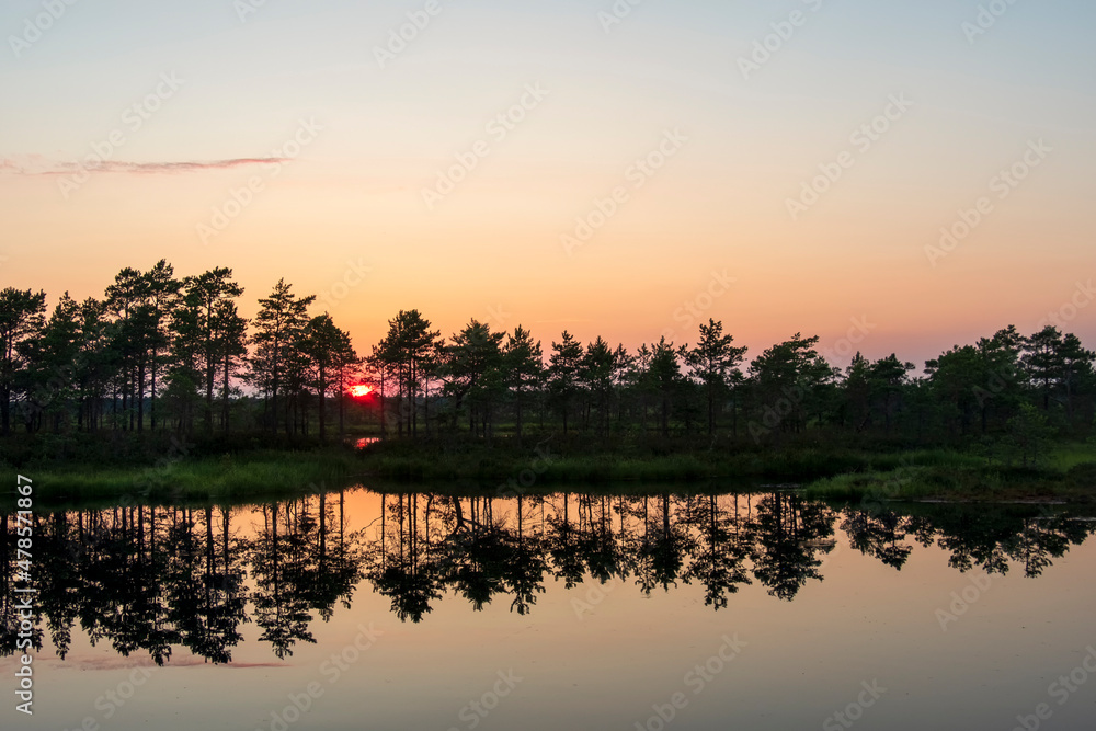 Obraz premium gorgeous sunset on a bog lake in estonia