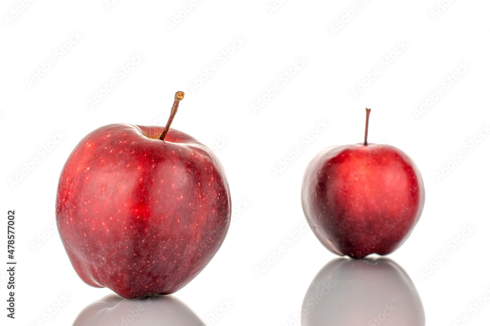Two organic sweet red apples, close-up, isolated on white. Two organic sweet red apples, close-up, isolated on white.