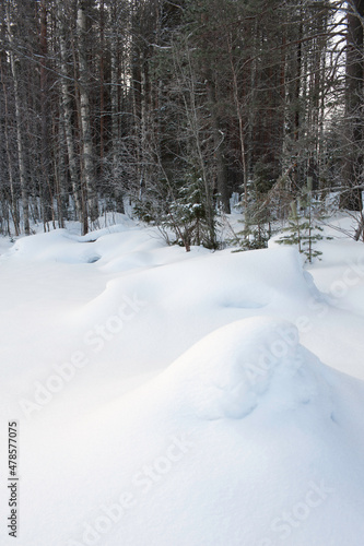 Snowdrift, wind sculpted patterns on snow surface