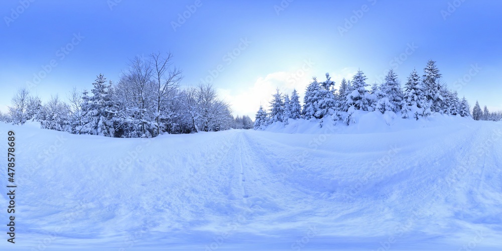 Forest in Winter Covered in snow HDRI Panorama Forest in Winter Covered in snow HDRI Panorama