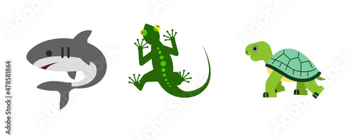 Lizard, shark, tirtle vector flat icon.