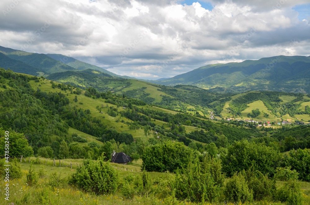 Summer mountains landscape. Hillside meadow and forest near village green grass and blue sky with clouds. Carpathians Ukraine 