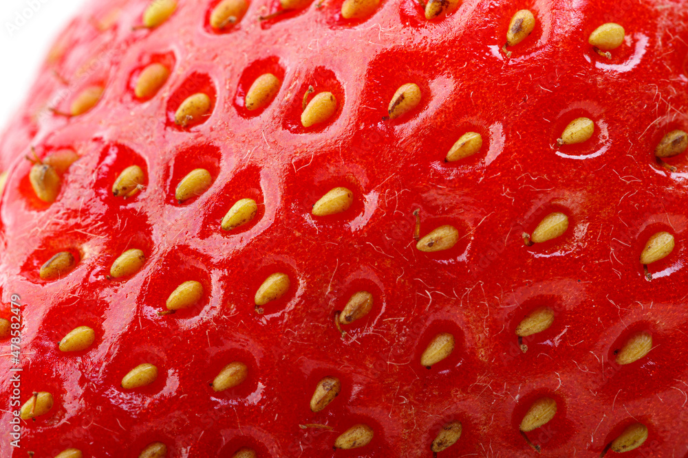beautiful and ripe red strawberries on a white background beautiful and ripe red strawberries on a white background