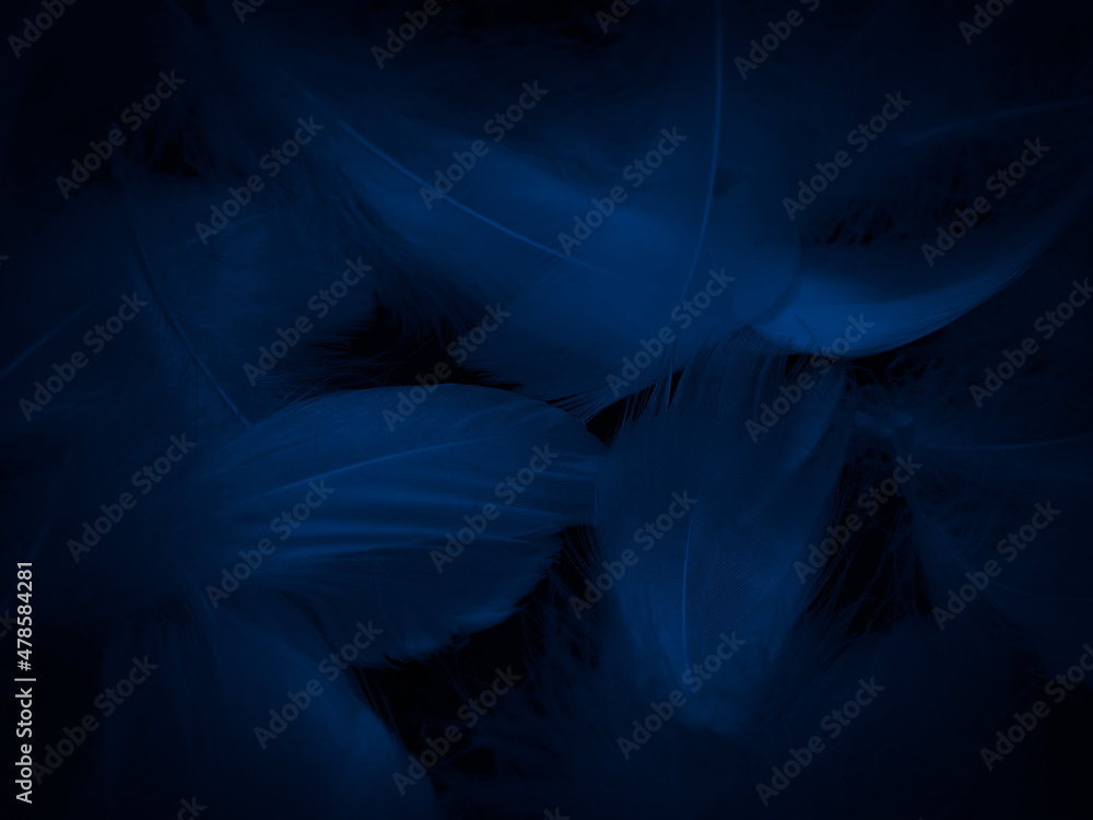 Beautiful abstract blue feathers on black background, black feather texture  and blue background, feather wallpaper, blue texture banners, love theme,  valentines day, light blue texture, dark gradient Stock Photo | Adobe Stock