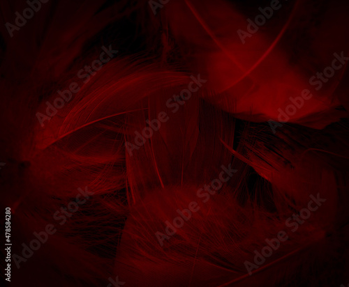Fotografie, Obraz Beautiful abstract red feathers on black background, yellow feather texture on c
