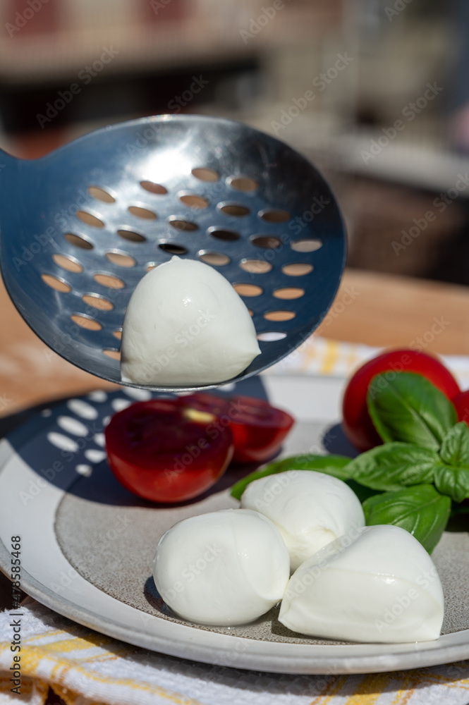 Cheese collection, white balls of Italian soft cheese mozzarella served with fresh tomatoes and basil Cheese collection, white balls of Italian soft cheese mozzarella served with fresh tomatoes and basil