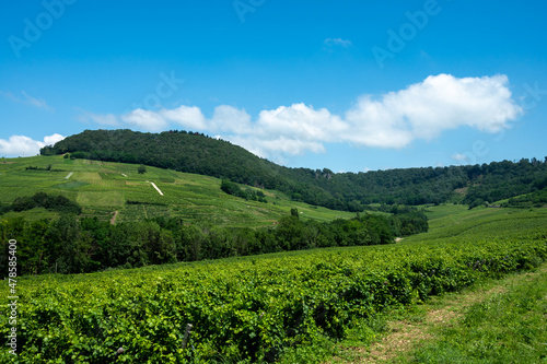 Panoramic view on green hilly vineyards near wine village Chateau-Chalon in Jura, France