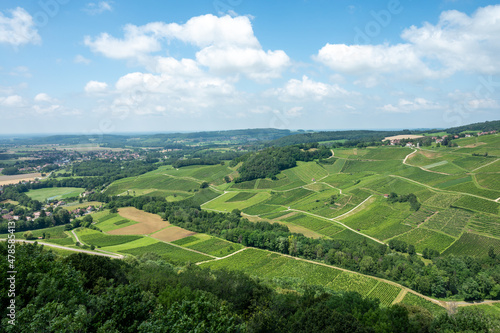 Panoramic view on green hilly vineyards near wine village Chateau-Chalon in Jura, France © barmalini