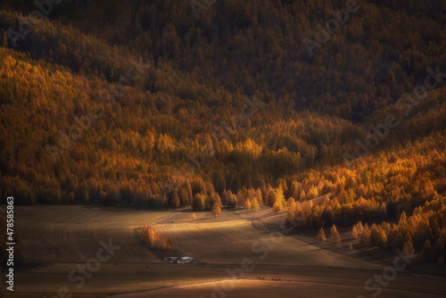 Scenic view of the autumn larch forest. Panoramic and large-scale view. Small farm house in the foreground. Altai. Siberia. photo