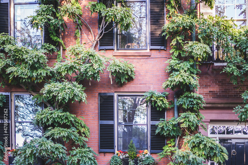 Big planters with various plants set against brick wall with windows and shutters © Renata