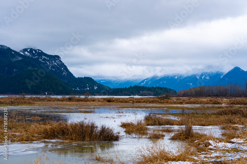 Marshland with river and mountains
