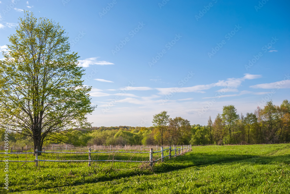 Spring rural landscape. Green fields and forests against a background of blue sky and clouds.