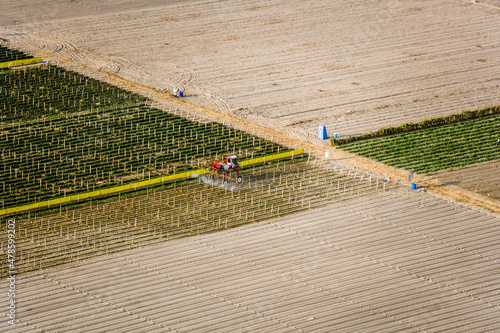 Agriculture Farm Vegetable Harvest Los Molinos Peru photo