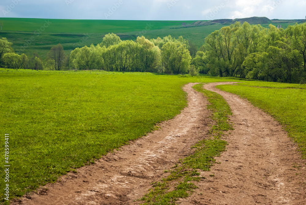 Rural dirt road in rural areas. Green fields, trees and a sky with beautiful clouds. Beautiful spring landscape.