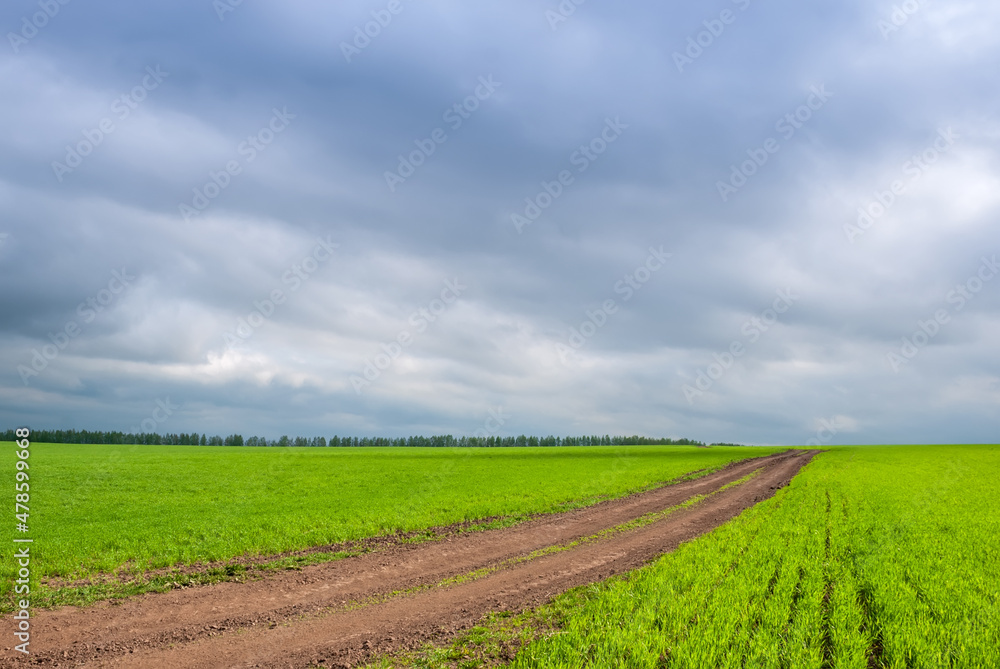 Rural dirt road in rural areas. Green fields and overcast sky. Beautiful spring landscape.