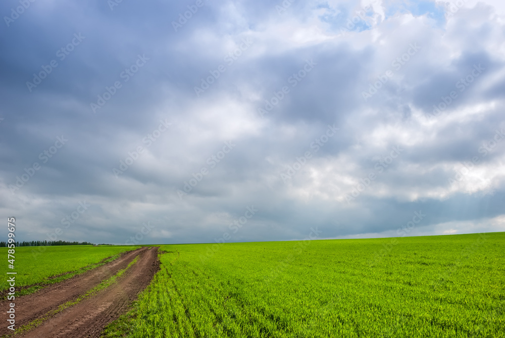 Rural dirt road in rural areas. Green fields and overcast sky. Beautiful spring landscape.