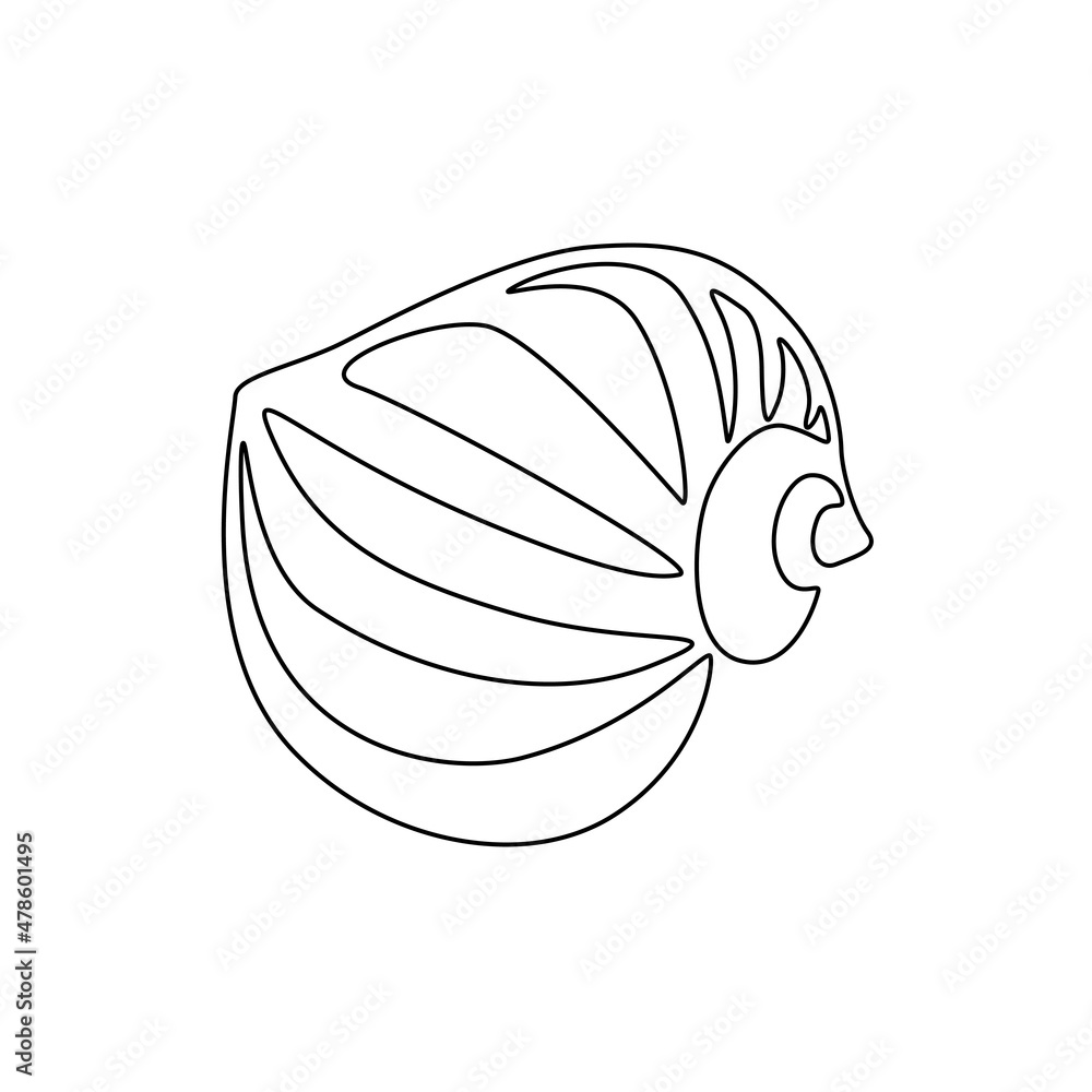 Sea snail shell. Continuous one line drawing of mollusk seashell in ...