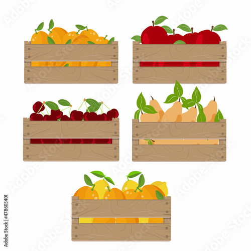 Wooden box set with fruits, Case with orange, lemon, apple, pear and cherry isolated on white background. Vector illustration