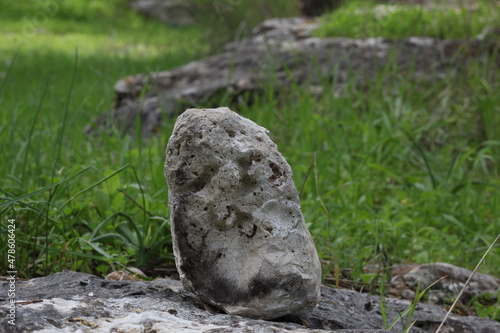 a stone in the forest without flesh