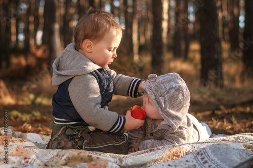 A two-year-old boy feeds his younger brother an apple.
