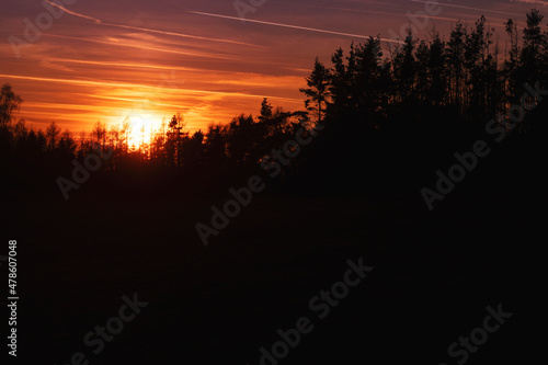 Colourful sunset over the tops of coniferous trees.