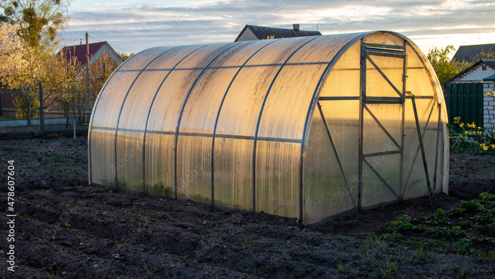 Polycarbonate greenhouse in the garden. The greenhouse is used for growing organic plants at home. Growing vegetables and fruits, gardening. The light is the setting bright sun. Polycarbonate greenhouse in the garden. The greenhouse is used for growing organic plants at home. Growing vegetables and fruits, gardening. The light is the setting bright sun.