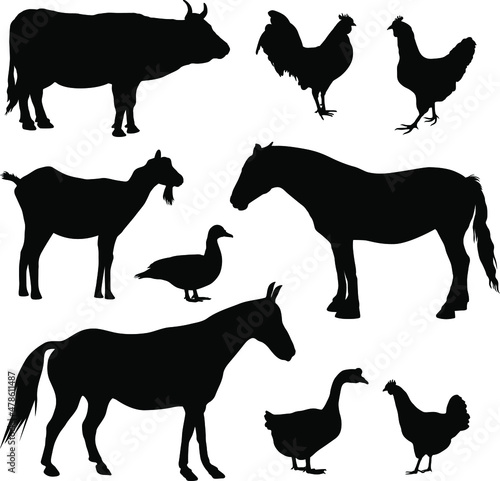 Farm animals silhouettes. Collection of domestic cattle. Vector illustration set isolated on white.