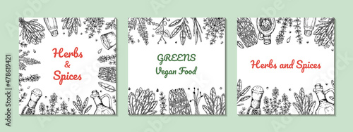 Hand drawn herbs and greens design. Vector illustration