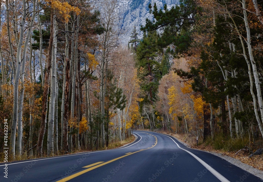 Obraz premium Road in autumn 