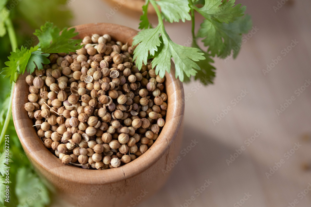 Coriander seeds in a wooden cup copy space Coriander seeds in a wooden cup copy space