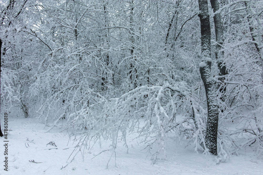 Fototapeta premium Winter view panorama of South Park in city of Sofia, Bulgaria