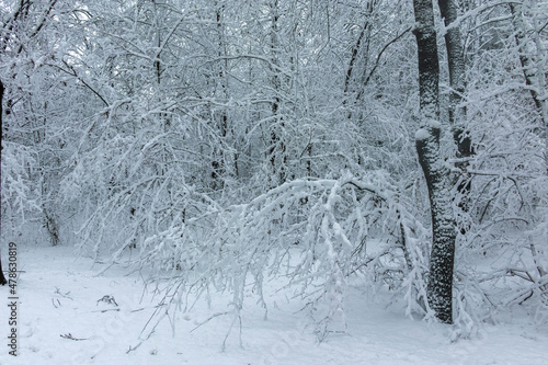 Winter view panorama of South Park in city of Sofia, Bulgaria