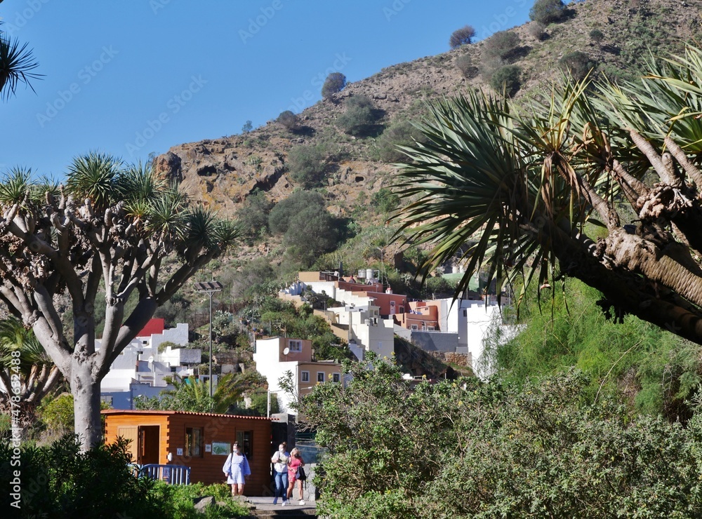 Jardín Canario auf Gran Canaria