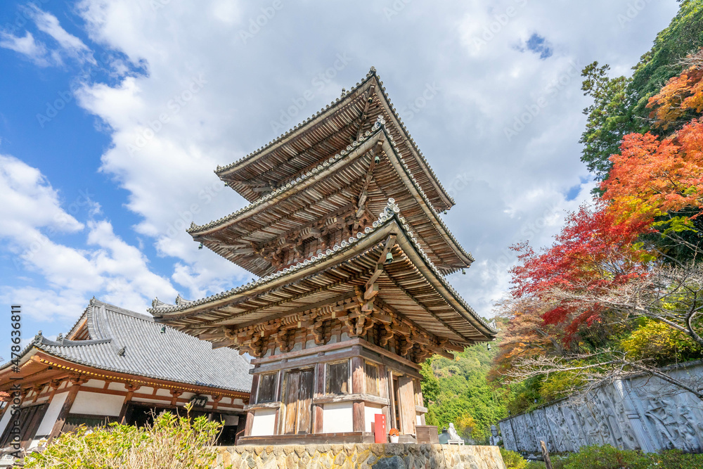 Fototapeta premium 壺阪寺