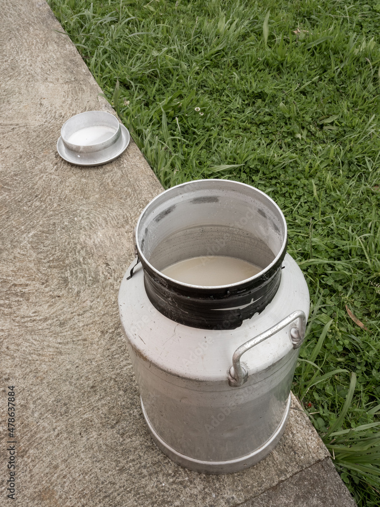 Milk jug with milk resting outside, to be used in artisanal cheese production in a family cheese factory.
Isle of Flowers. Milk jug with milk resting outside, to be used in artisanal cheese production in a family cheese factory.
Isle of Flowers.